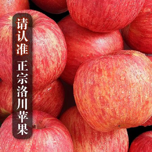 洛川苹果 来自陕西延安的脆甜红富士，产地直发送礼佳品